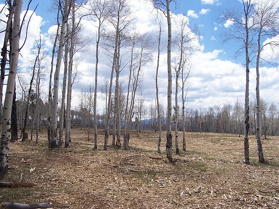 5th image of Tbd Brown Ranch Rd