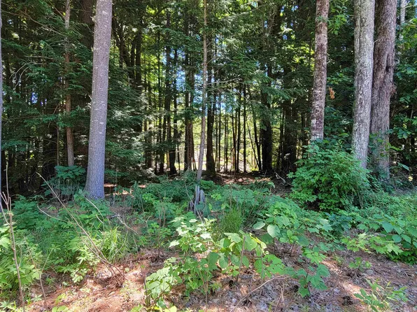 Mayflower Lane #35, Moultonborough, NH 03254
