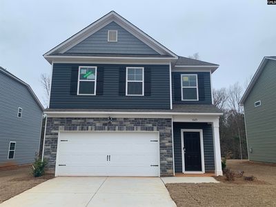 1025 Flat Coat Ln, Chapin, SC, 29036
