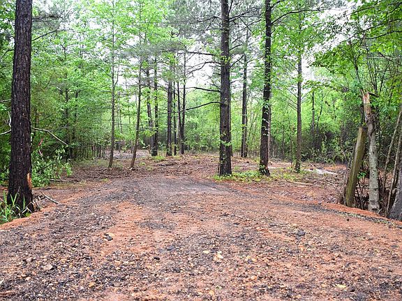 3rd image of 0 Collins Rd