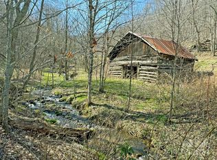 Poplar Gap Rd, Hot Springs, NC 28743