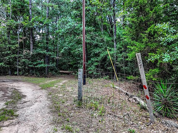 3rd image of 127 Buckthorn Acres Dr
