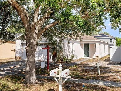 18106 Lembrecht Way, Tampa, FL, 33647