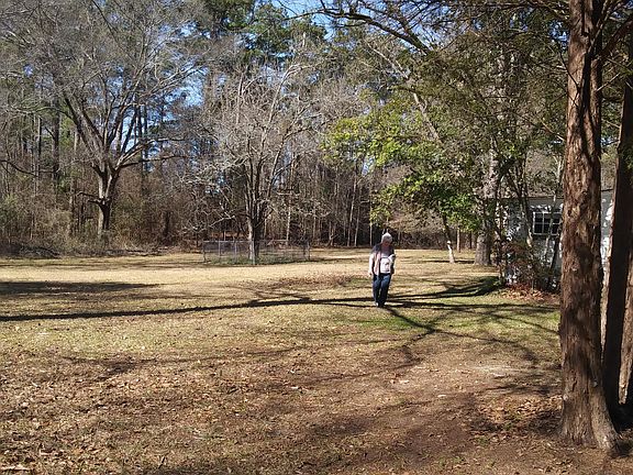 Left side of backyard.