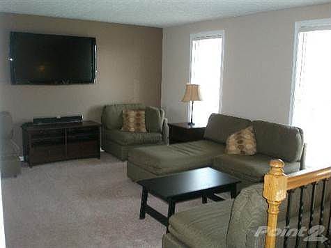 Plenty of light coming thru the new windows into the living room with new carpet.