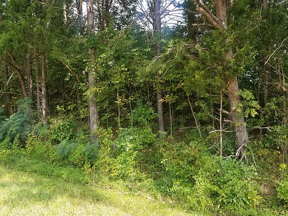 4th image of 5645 Highway 321 N
