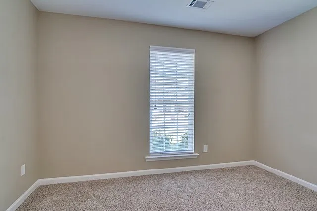 138 Brow Tine Ct — Photo 18