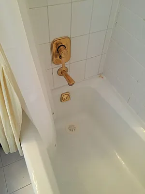 Rented by Carol Quatrone | media 45