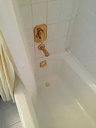 Rented by Carol Quatrone