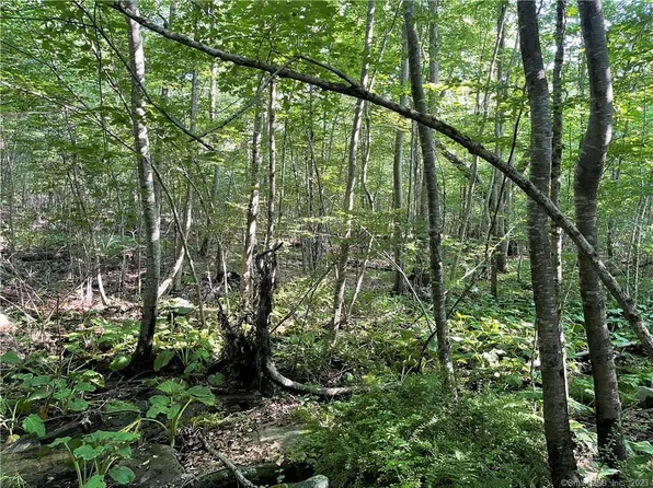 221 Mansfield Road, Ashford, CT 06278