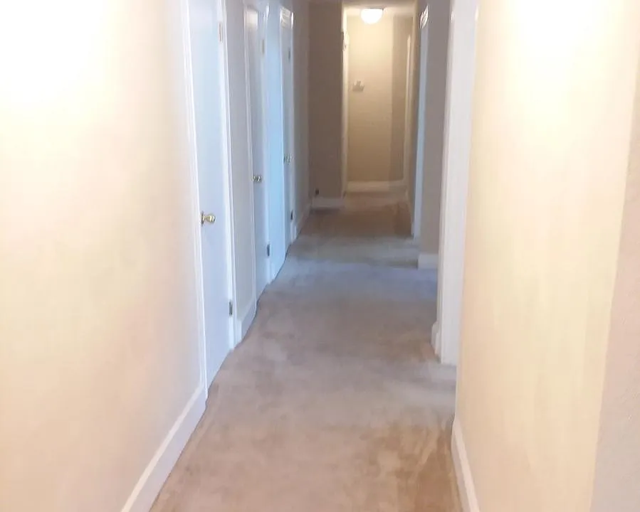 Lots of storage with 3 closets on left side of hallway and bedrooms on right