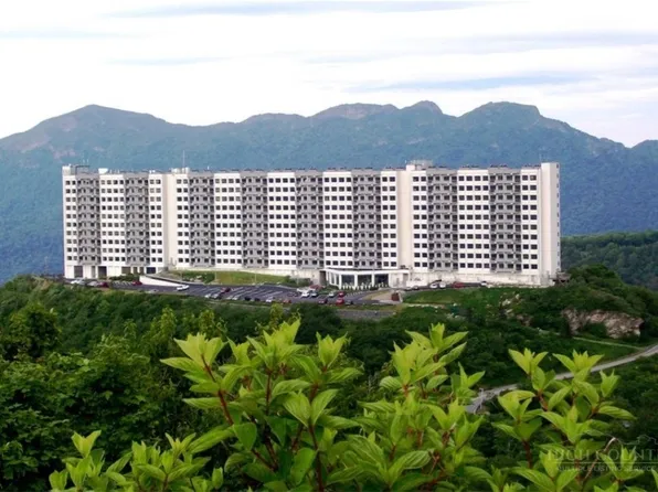 303 Sugar Top Dr Drive #2010, Sugar Mountain, NC 28604