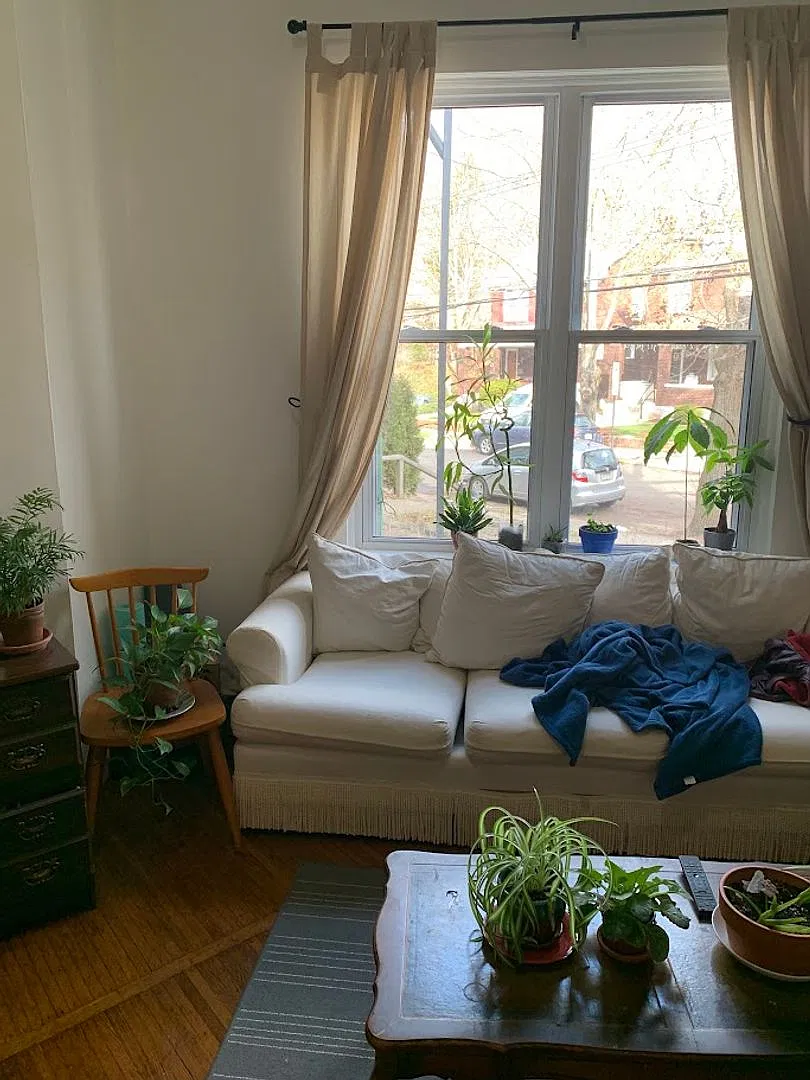 514 Ivy St — Photo 1