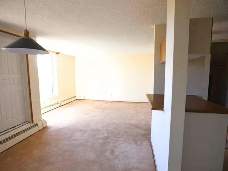 450 Ross Haven Dr — Photo 6