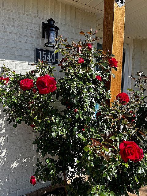 1st image of 1540 Glendale Dr