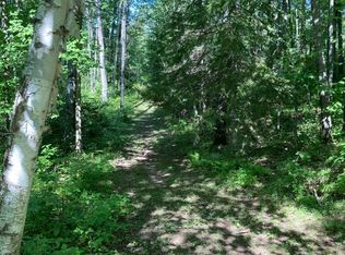 Ison Ln Tract 8243, Crandon, WI 54520