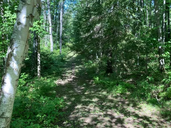 Ison Ln Tract 8243, Crandon, WI 54520