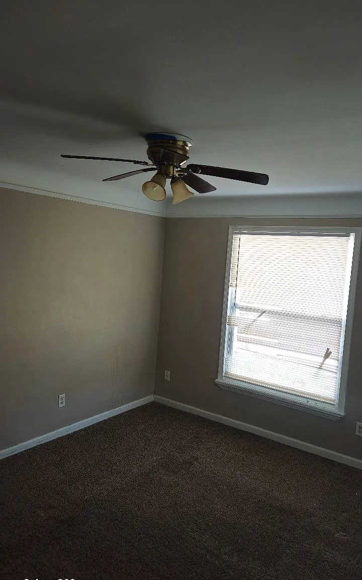 3 bed, 1.0 bath, $1,500 — Photo 2