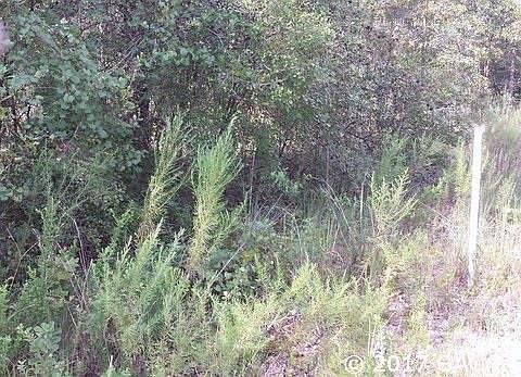 1st image of 00 35th Ave
