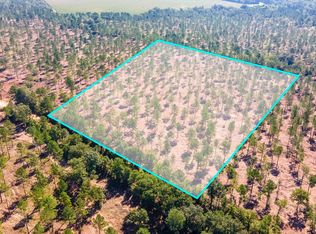 LOT 5 Bluffwood Rd, Wagener, SC 29164