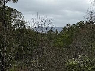 3rd image of 851 Stansbury Mountain Rd