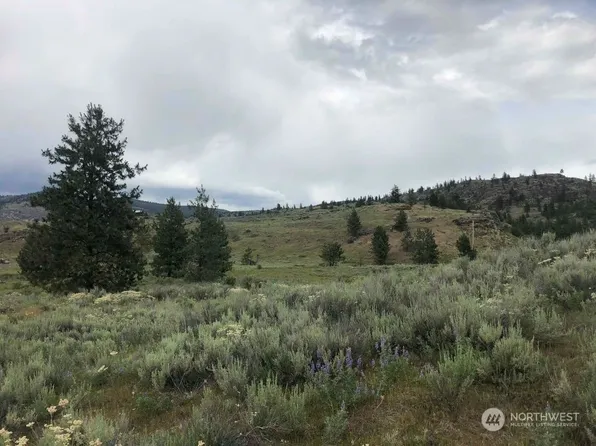0 Pickens Valley Road, Tonasket, WA 98855