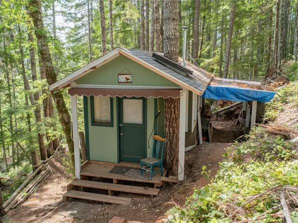 0 N Dow Mountain Road, Hoodsport, WA 98548