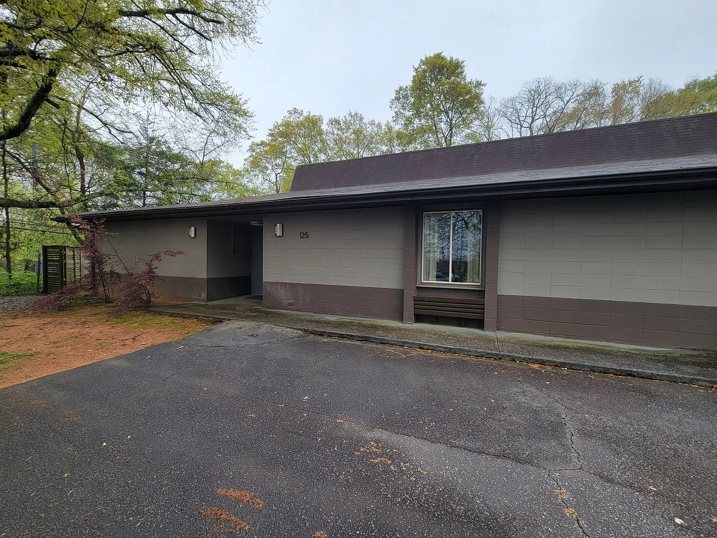Massive 3 bed 3 bath on Boulevard! — Photo 2