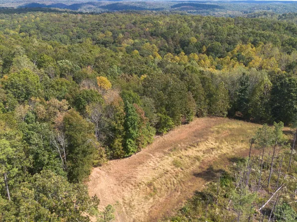 0 Mayfield Rd, Centerville, TN 37033