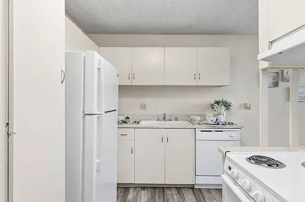 Dorchester Apartments — Photo 5