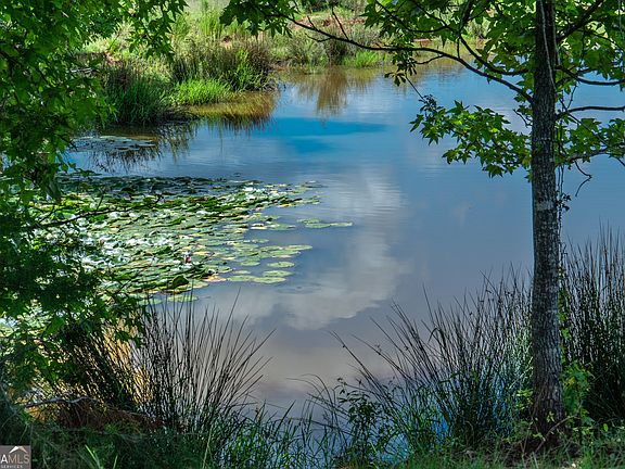 2nd image of 0 Hines Rd