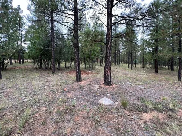 2412 Hopi Dr, Happy Jack, AZ 86024