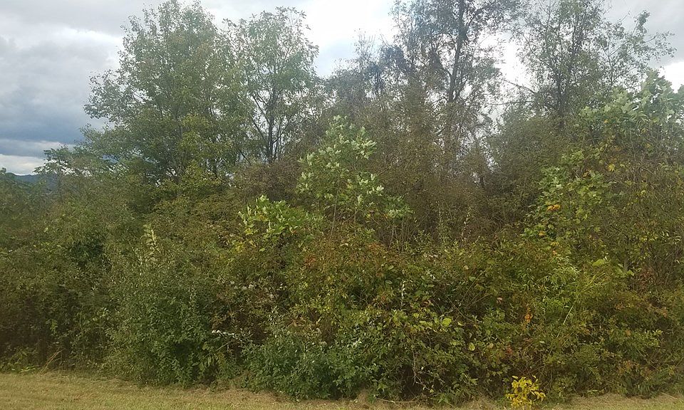 2nd image of Kennedy Dr