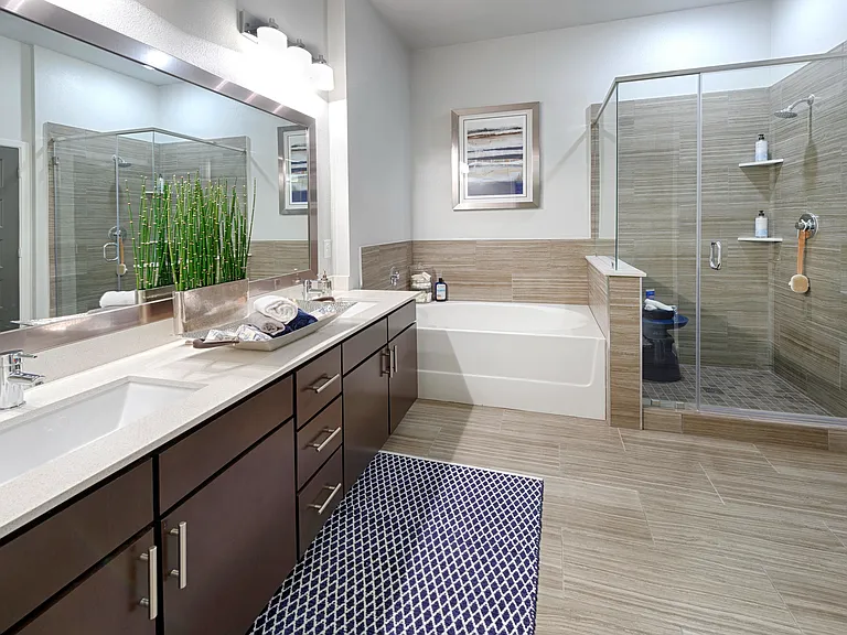 Soaking Tub and Walk-In Shower