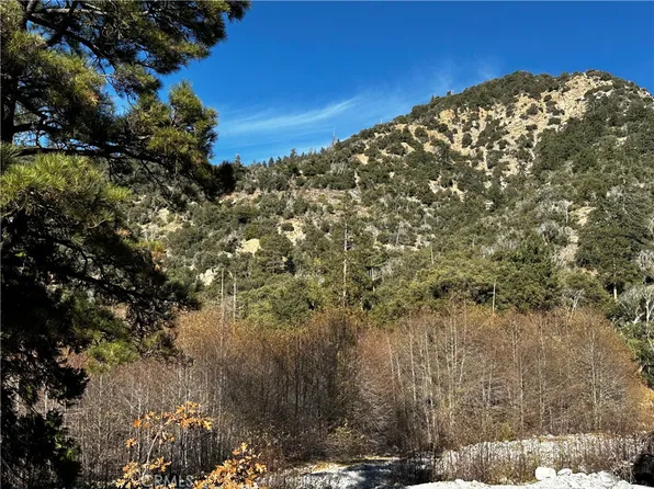41385 Alder Dr, Forest Falls, CA 92339