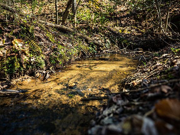 3rd image of 0 Marys Mountain Rd