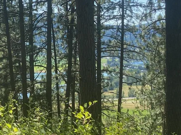 Nna Hells Gulch Rd, Saint Maries, ID 83861