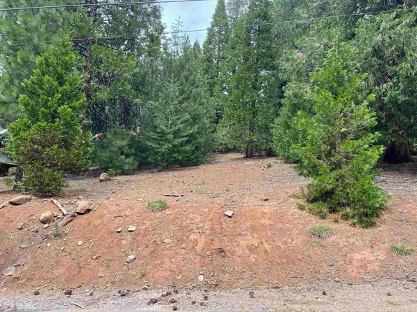 704 Pine Canyon Trl, Westwood, CA 96137