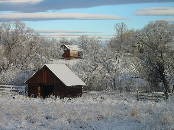 view from back deck