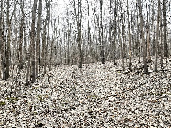 3rd image of 5371 Jensen Rd