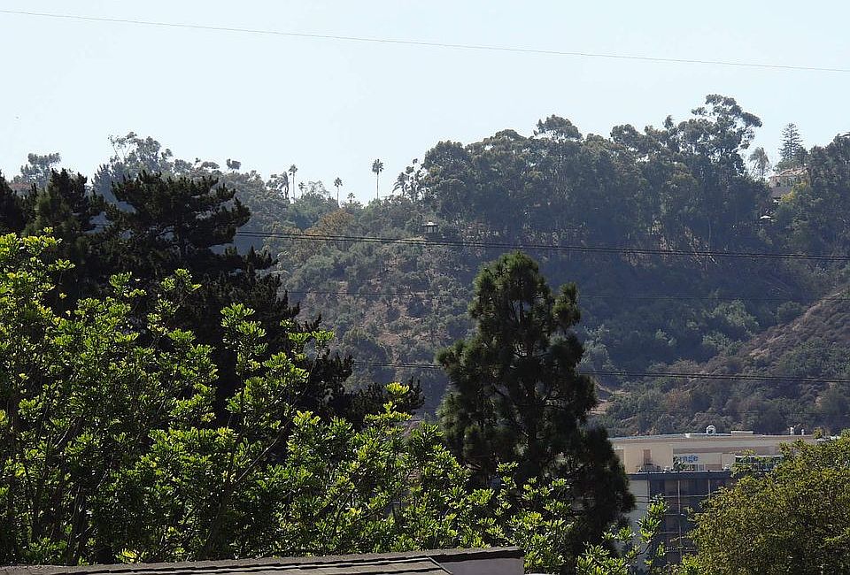 View From Private Balcony