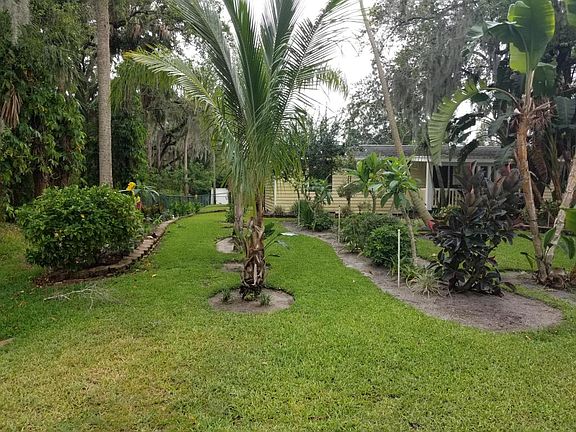 3rd image of 7805 Citrus Park Blvd