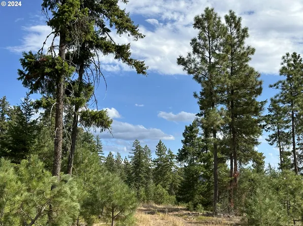 731 Matola Rd, Goldendale, WA 98620