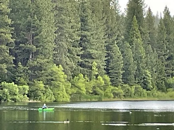 1547 Anna Lee Way, Arnold, CA 95223