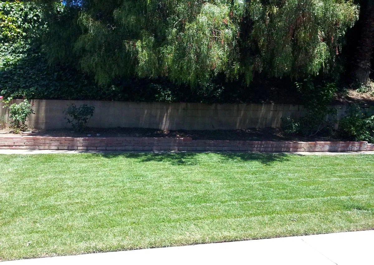 4 bed, 1628 sqft, $4,800 — Photo 4