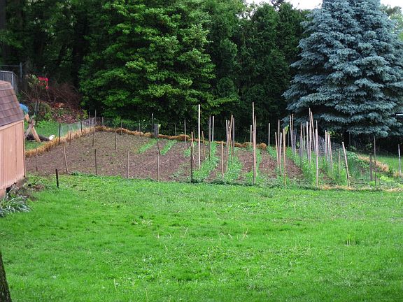 Large Garden