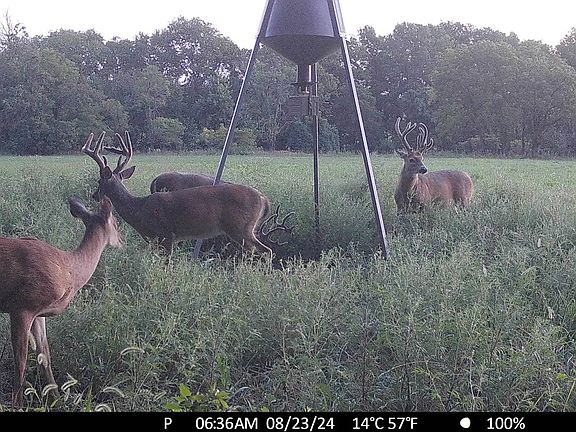 2nd image of 2995 County Road 6450