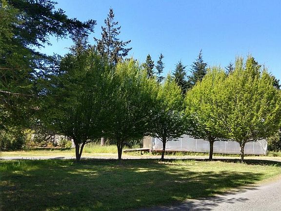View from front of home facing bbq area and greenhouse.
