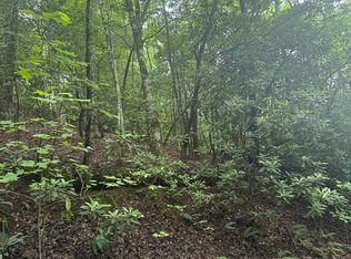 0 Willow Pond Rd, Franklin, NC 28734