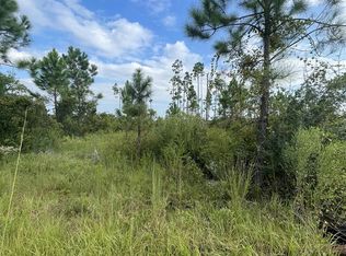 115 Chapel Ln, Port Saint Joe, FL 32456